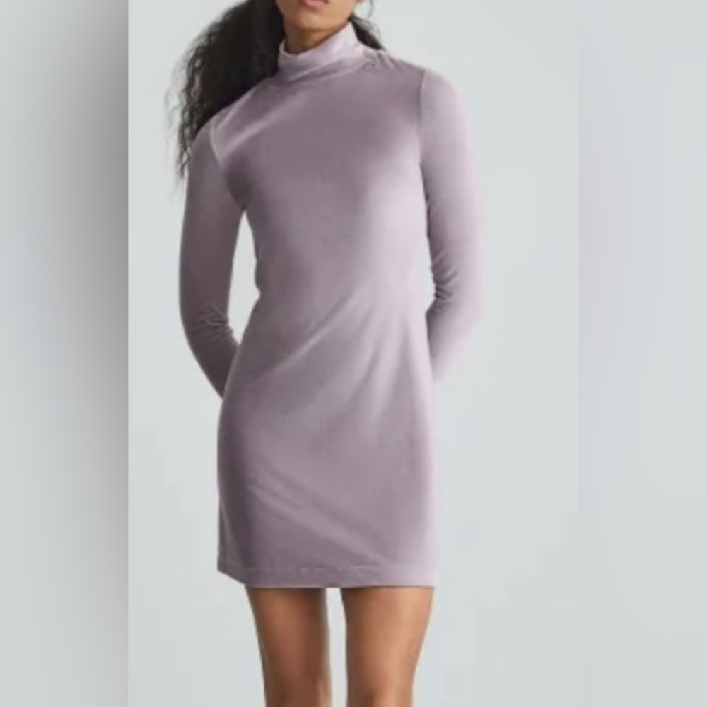 Everlane The Velour Mini Dress Long Sleeve Dusty Lavender Mockneck Valentine’s
